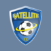 Ligue 1 (Guinée) : Satellite FC admis en D2 !