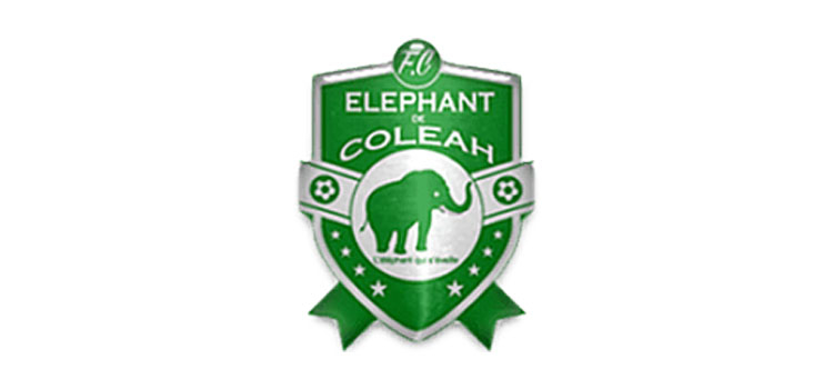 Ligue 2 Guinée : Éléphant de Colèah relégué en national