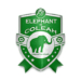 Ligue 2 Guinée : Éléphant de Colèah relégué en national