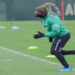 Bundesliga : prochain match de Werder Brême, Naby « sera là » Ole Werner