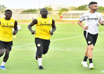 Qualif. Mondial 2026 : 14 Lions sénégalais déjà au regroupement (liste)