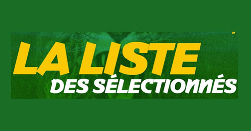 CAN 2023 : le Cameroun y va avec 27 joueurs (liste définitive)