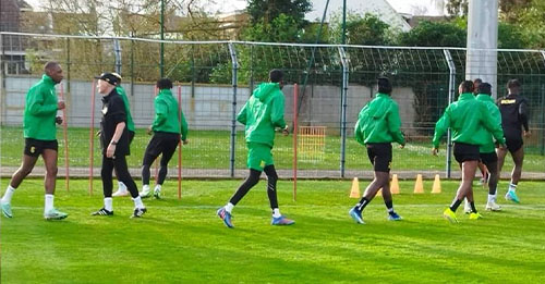 Journées Fifa : les Guépards du Bénin démarrent les préparatifs à Amiens