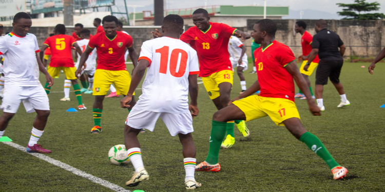 Éliminatoires CHAN 2024 : la Guinée entame les préparatifs