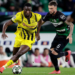 Ligue des champions UEFA : Guirassy buteur et passeur avec Dortmund