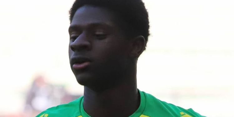 Équipe de France (U19) : première sélection pour Bahereba Guirassy, la Guinée n’attire plus ?