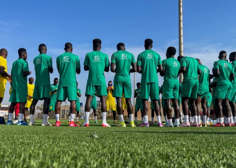 syli_local_guinee_africasport_chan_2024_foot