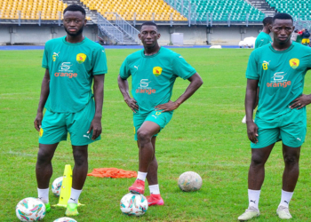 syli-local-match-amical-foot-stage-chan-2024-douala-centrafrique-japoma-reunification-amical-preparation-africasport