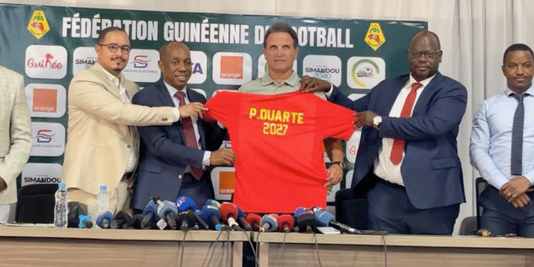 paulo duarte-guinee-syli-national-football-feguifoot-star-portugais-togo-burkina-faso-contrat-2027-can-qualifications-africasport