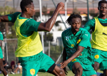 syli-national-paulo-duarte-entrainement-botswana-eliminatoires-maroc-2025.jpg-africasport