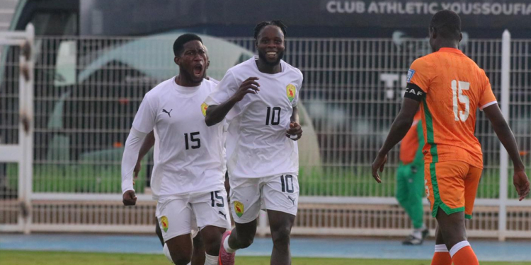 guinee-syli-niger-match-amical-guinee-fifa-amical-2025.jpg-africasport