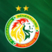 senegal-fsf-recours-tas-can-maroc-2025-litige-caf-football-afrique-2026.jpg