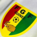 feguifoot-reaction-demission-mamadou-alpha-hann-comex-fifa-crise-gouvernance-guinee-2026.webp