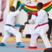 Championnat d’Afrique Ouest 1 de karaté (édition 6) : la Guinée vise un nouveau sacre à domicile