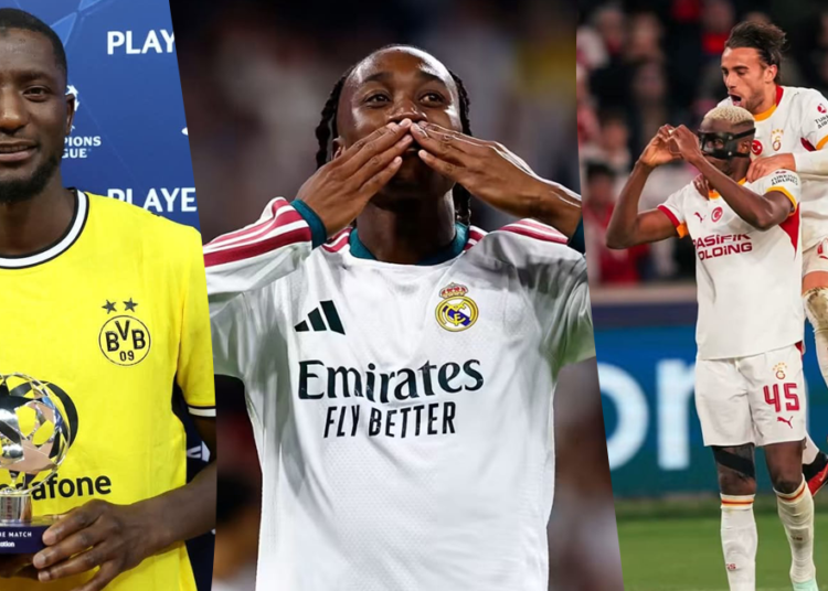 Serhou Guirassy, Yan Diomandé, Victor Osimhen et Ademola Lookman, quatre internationaux africains décisifs en Ligue des champions.